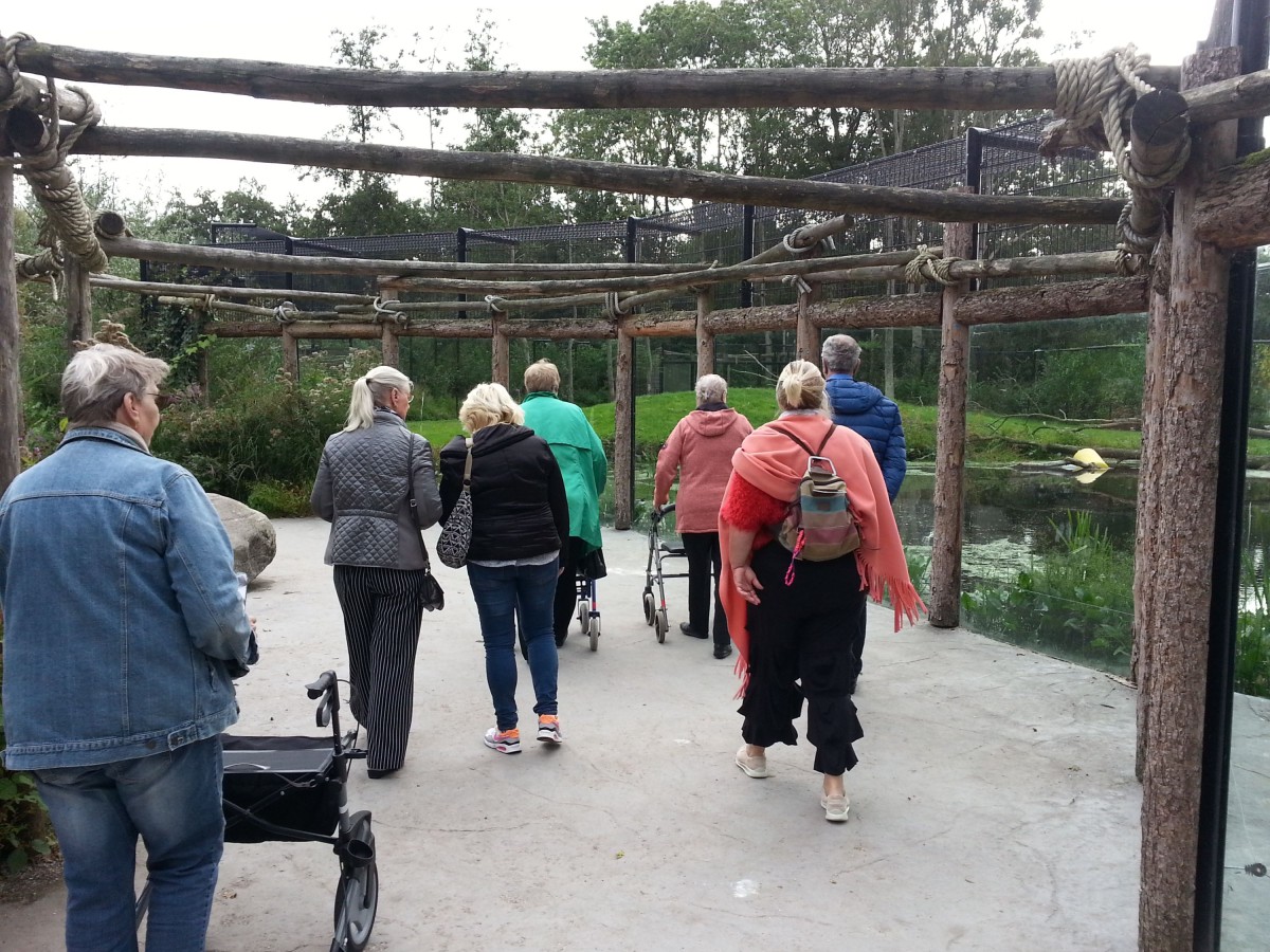 photo - Stichting Roelof Steinvoorte